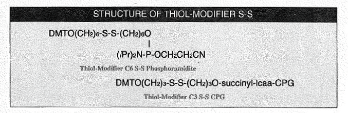 Hình 1: Cấu trúc Thiol-modifer S-S trong quá trình tổng hợp Oligonucleotide biến đổi Thiol