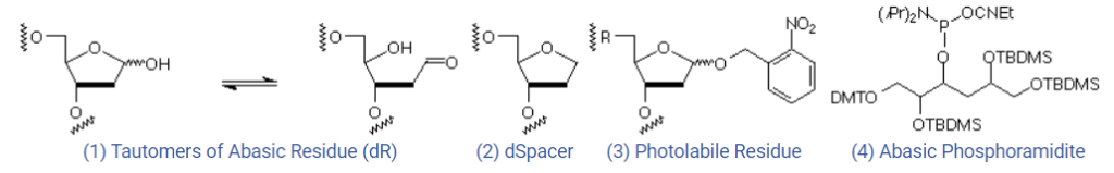 Cấu trúc sản phẩm trong tổng hợp oligonucleotide có chứa vùng abasic site