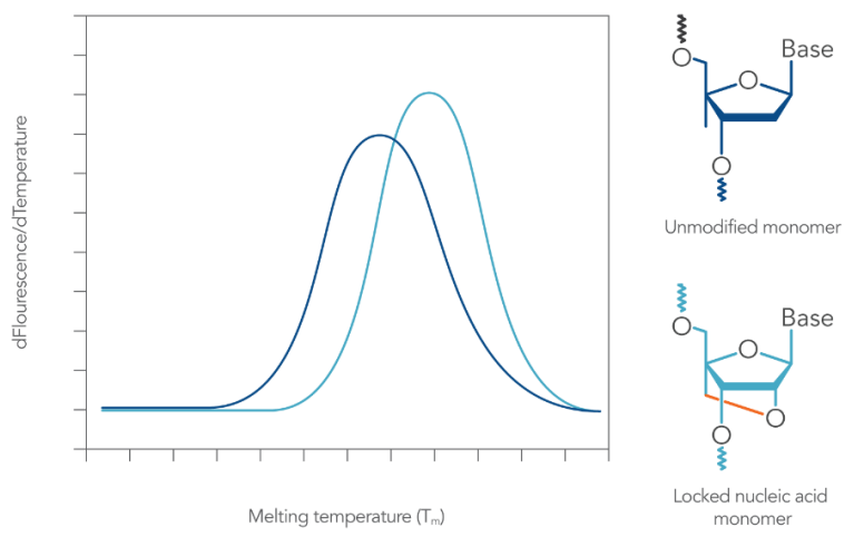 Sự kết hợp của các base LNA làm tăng nhiệt độ nóng chảy của trình tự. Khi các base LNA được kết hợp với trình tự DNA (chẳng hạn như probe) làm thay đổi nhiệt độ nóng chảy của DNA mạch đôi, dẫn đến nhiệt độ nóng chảy tăng lên.