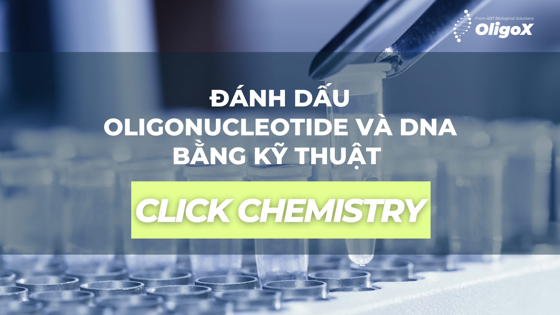 ĐÁNH DẤU OLIGONUCLEOTIDE VÀ DNA BẰNG KỸ THUẬT CLICK CHEMISTRY