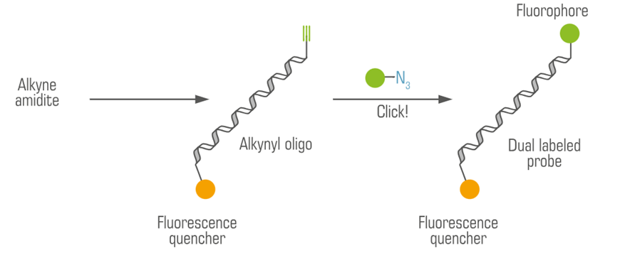 Hình 3. Phương thức đánh dấu oligo bằng kỹ thuật click chemistry